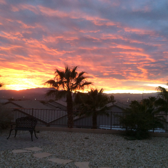 Meet your Posher, Patty - Picture 1 of 1